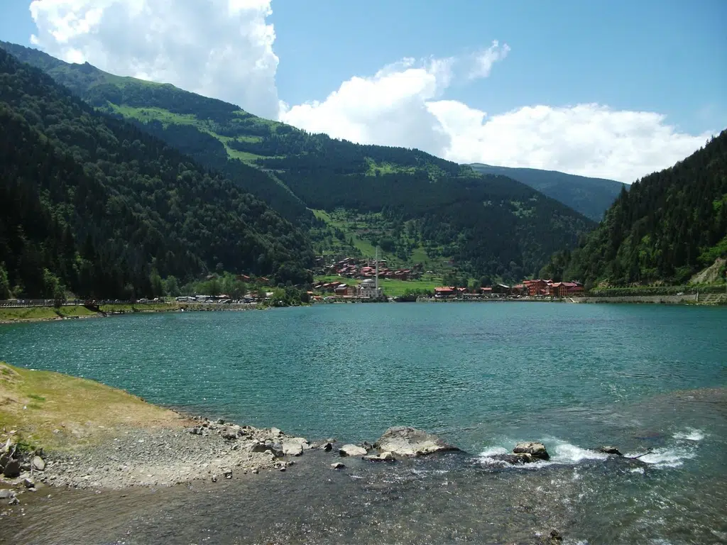 Information image